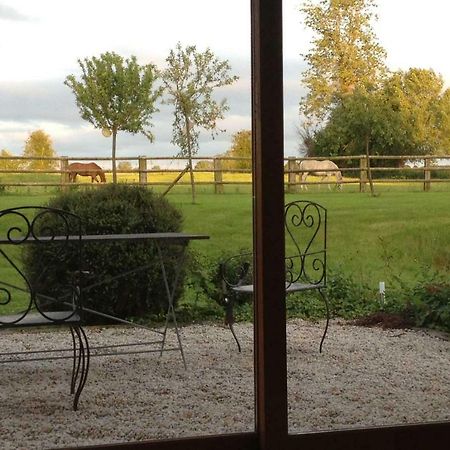 Haras Des Leudets Bed and Breakfast Blangy-le-Château Eksteriør billede